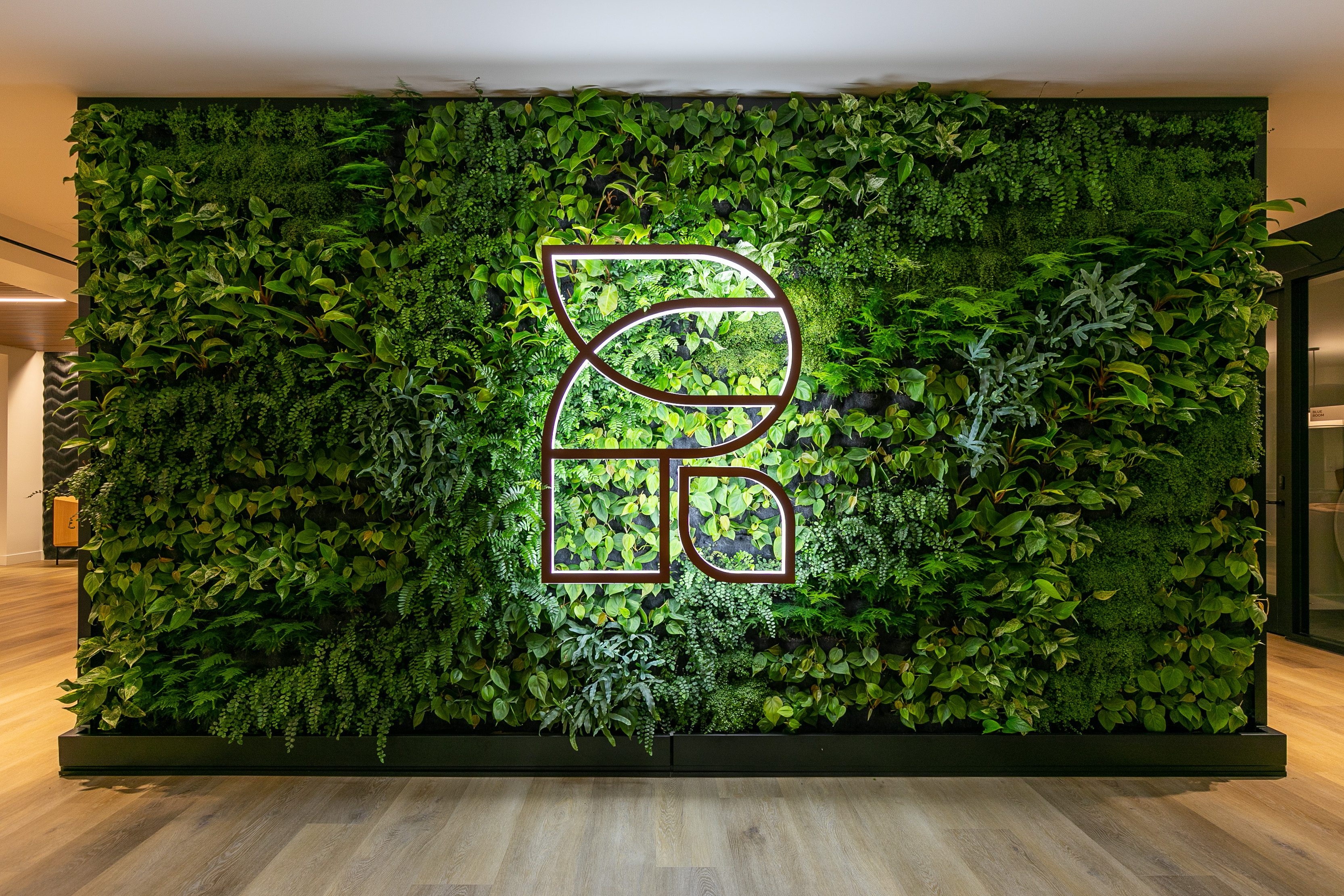 A green wall in a multifamily apartment with a logo on it.