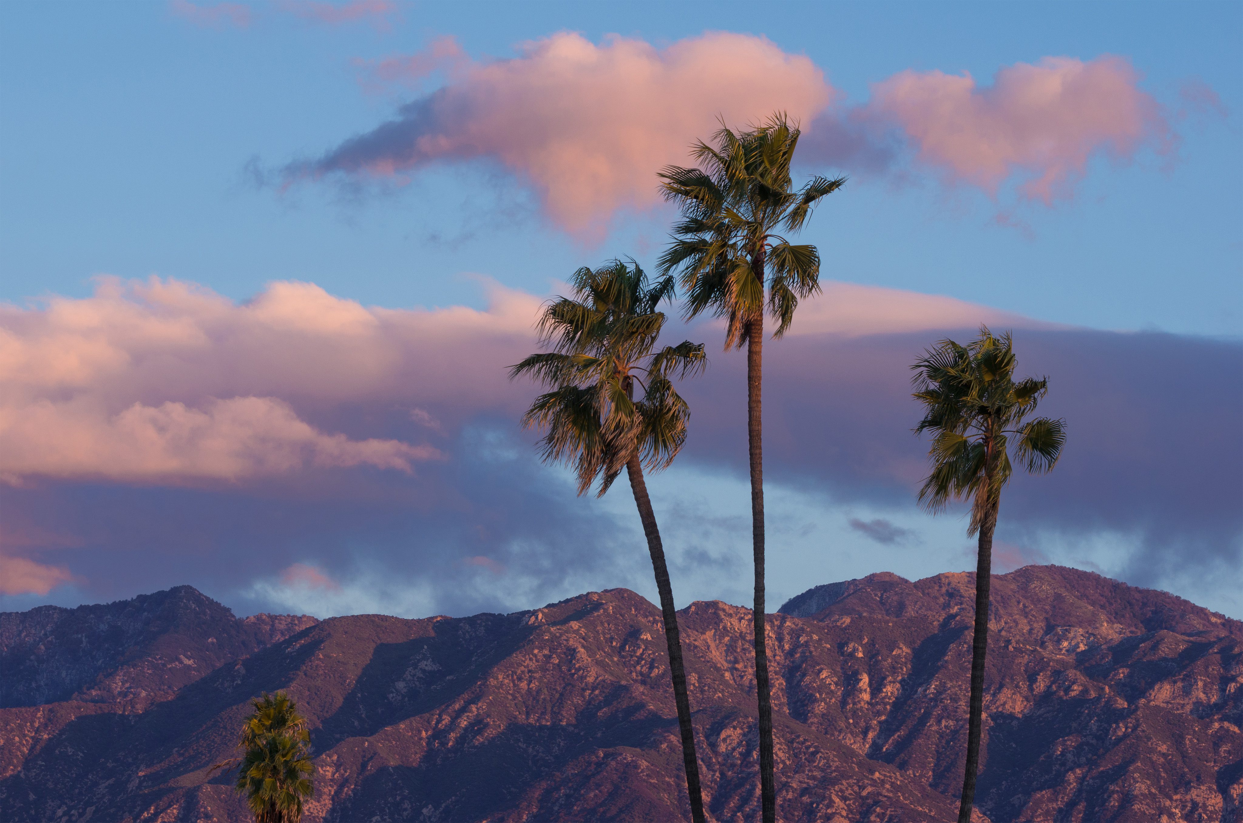 Pasadena hills with three palm trees against a cloudy sky